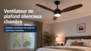 Ventilateur de plafond silencieux avec lumiere dans une piece moderne